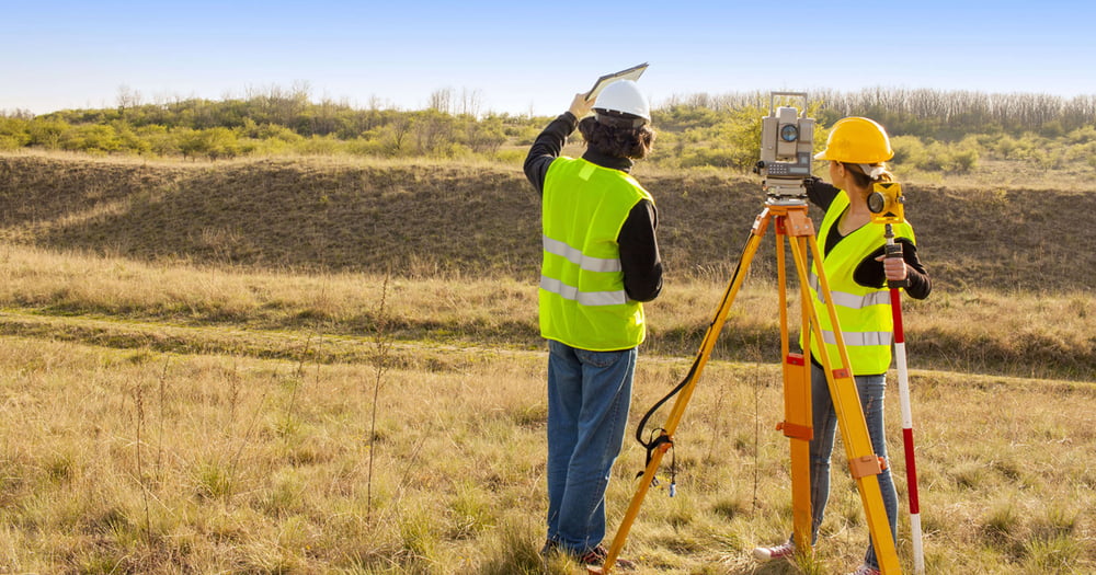 Image result for Land Surveyor