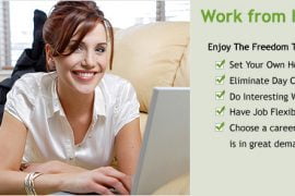 Top Online Incomes From Home 2