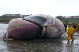 Tucked In Biggest Reshuffle, Yogi Adityanath's Solution 1