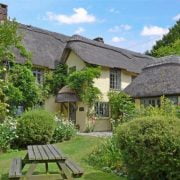 FIVE REASON TO PREFER FOREST ACCOMMODATION OVER NORMAL RESORT FOR VACATION. 4