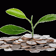 Vijay Mallya criticises banks for ‘double requirements’ after Jet bailout 6