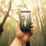 Japan Cell Phone Companies 3